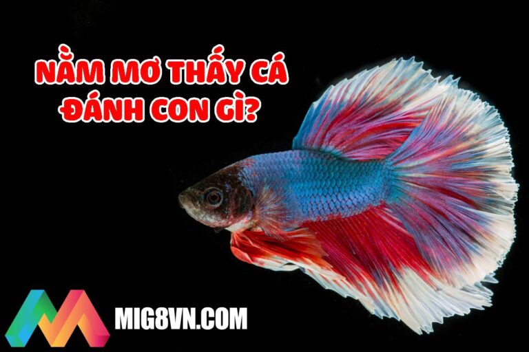 Nằm mơ thấy cá